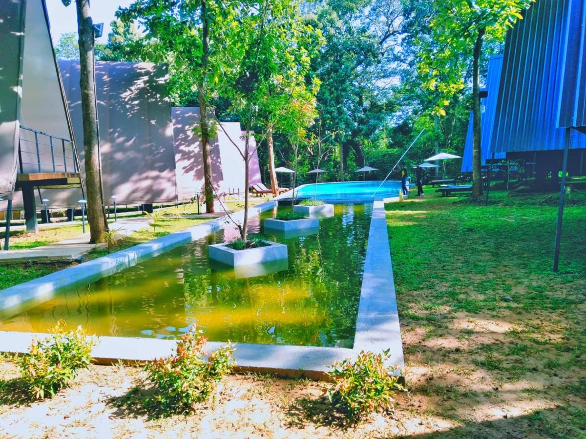 Kottawatta River Bank Resort Udawalawe Dış mekan fotoğraf